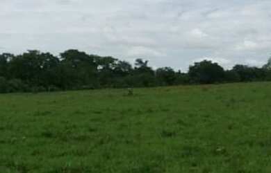 Imagem: A fazenda está localizado em Goiatuba, GO à venda por R$650.000