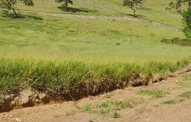 Imagem 15: Vendo meu lote em Nazaré Paulista