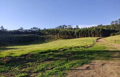 Imagem 2: Vendo meu lote em Nazaré Paulista
