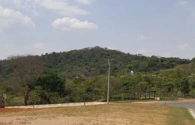 Imagem 8: Lote Jardins Porto, 305m. 