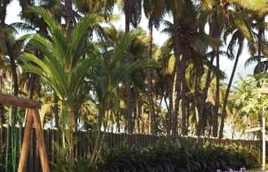 Imagem 4: Villa Carneiros Costa Mar | flats com 1, 2 ou 3 quartos