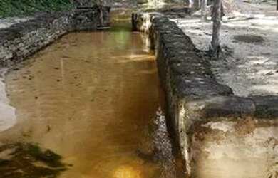 Imagem 13: Manaus Itacoatiara, AM 010 Km 32, Ramal Água Preta S/N