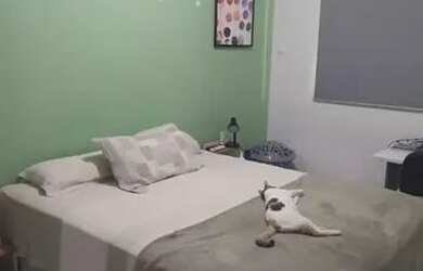 Imagem: A casa possui 2 Dormitórios, 5 Banheiros e 60m² de Área e