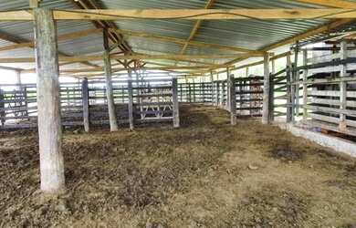 Imagem 4: Oportunidade Fazenda em São Felipe, 375 Tarefas, rio margeando, Porteira...