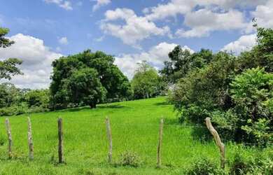 Imagem 16: Oportunidade Fazenda em São Felipe, 375 Tarefas, rio margeando, Porteira...
