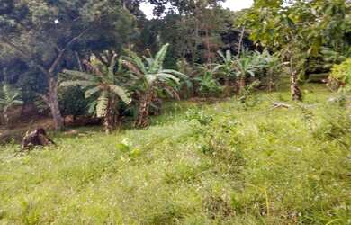 Imagem 5: Terreno a venda Savoia. 300.000m² de Área