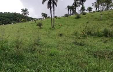 Imagem 6: Fazenda Capão Preto - Tiros - MG