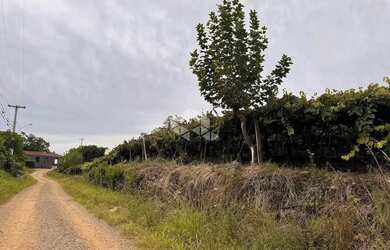 Imagem 5: Propriedade Rural com produção de Uvas e uma casa de Mista