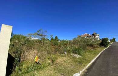 Imagem 4: Terreno - Bairro Mato Queimado