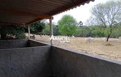 Imagem 8: Fazenda com 20 HECTARES à venda na área rural de Uberlândia