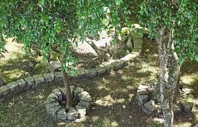 Imagem 3: Casa 3 dormitórios, 1 suíte