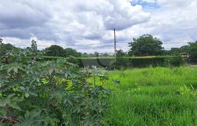 Imagem 2: Terreno com 1 quartos à venda em Pinheirinho - SP