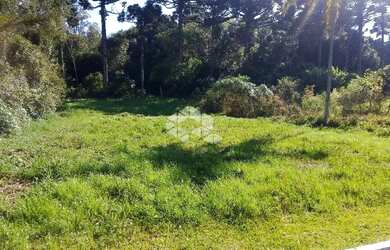 Imagem 6: Amplo terreno à venda em bairro residencial