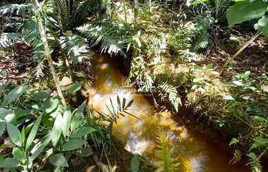 Imagem: A fazenda possui 430m² de Área e está localizado em Itatiaiuçu