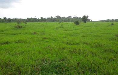 Imagem 4: R$70 milhões Fazenda 850 alqueires no Pará documentada