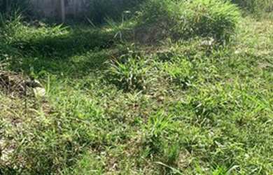 Imagem 7: Terreno em Ipelândia. 1.000m² de Área