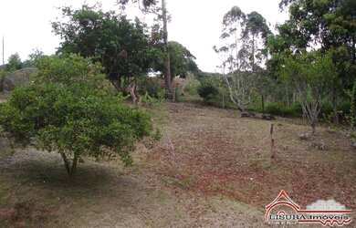 Imagem 6: - Linda Chácara no Boa Vista em Igaratá - Crédito Rural