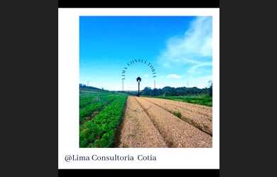 Imagem 16: Lote/Terreno para venda tem 500 metros quadrados em Jardim São Pedro...