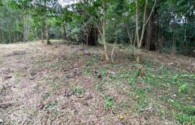 Imagem 9: Chacrinha oportunidade única 800 mts do asfalto 3900