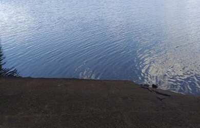 Imagem 3: Vendo lote com 2 casas no alagado .boa vista da aparecida por