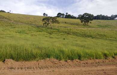 Imagem 13: Vendo meu lote em Nazaré Paulista