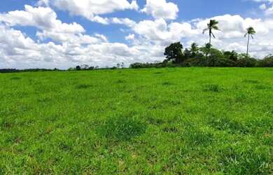 Imagem 13: Oportunidade Fazenda em São Felipe, 375 Tarefas, rio margeando, Porteira...