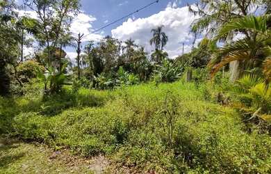 Imagem 3: Terreno ilha de Puiaçaguera