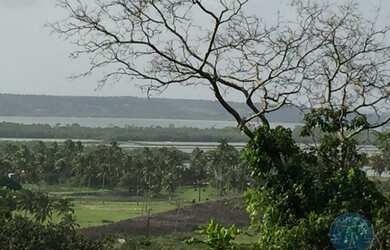 Imagem: O terreno possui 35.208m² de Área e está localizado em Tibau