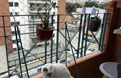 Imagem 8: Apartamento com 3 dormitórios à venda, 75 m² por R$ 550.000,00 - Jardim...