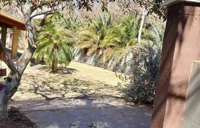 Imagem 4: Sitio de seringueira a venda em Floreal