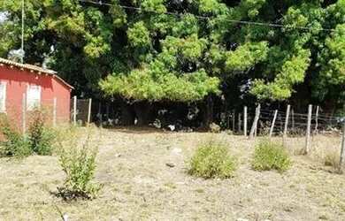 Imagem: A chácara possui 1300m² de Área e está localizado em Tropical