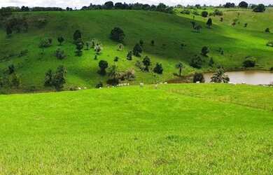 Imagem 7: Oportunidade Fazenda em São Felipe, 375 Tarefas, rio margeando, Porteira...