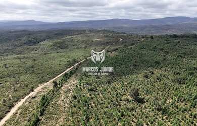 Imagem 14: VENDO FAZENDA PARA PLANTIO DE CAFE, EUCALIPTO OU BATATA NO NORTE MG, GRAO...