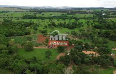 Imagem: A fazenda possui 500m² de Área e está localizado em Cezarina