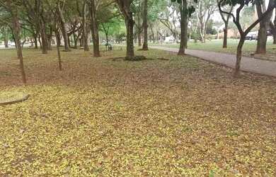 Imagem: O terreno possui 1.120m² de Área e está localizado em São