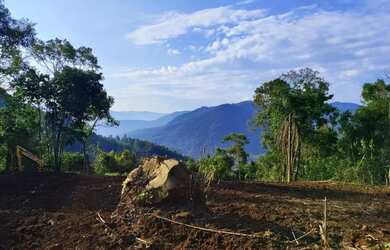 Imagem 3: Sítio / Chácara para Venda em Nova Petrópolis, Arroio Paixão