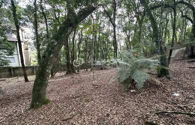 Imagem 6: TERRENO NO CONDOMINIO LAGOS DE GRAMADO