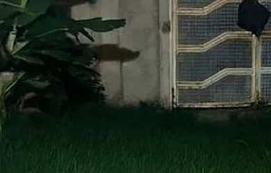 Imagem 3: Vendo casa em Betim