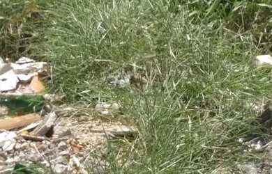 Imagem: O terreno possui 156m² de Área e está localizado em Barreiro