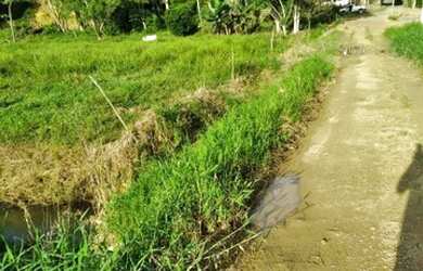 Imagem 7: Lote/Terreno para venda com 23000 metros quadrados em Zona Rural - Balneário Piçarras - SC
