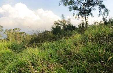 Imagem 8: sb- lote a venda. 