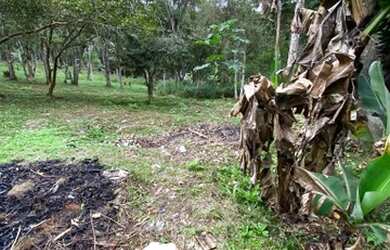 Imagem 6: Chacrinha oportunidade única 800 mts do asfalto 3900