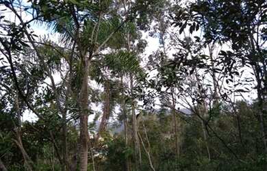 Imagem: Lotes / terrenos