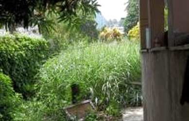 Imagem 9: Terreno para venda 611 metros quadrados em Mutuá - São Gonçalo - RJ