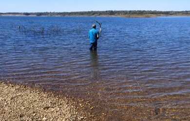 Imagem: O terreno possui 5.000m² de Área e está localizado em Campos
