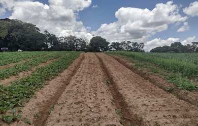 Imagem: O terreno possui 500m² de Área e está localizado em Jardim