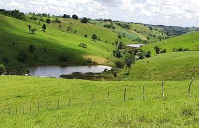 Imagem 5: Oportunidade Fazenda em São Felipe, 375 Tarefas, rio margeando, Porteira...