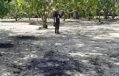 Imagem 5: Manaus Itacoatiara, AM 010 Km 32, Ramal Água Preta S/N