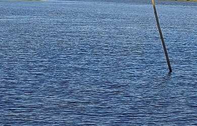 Imagem: A fazenda possui 365m² de Área e está localizado em Perpétuo