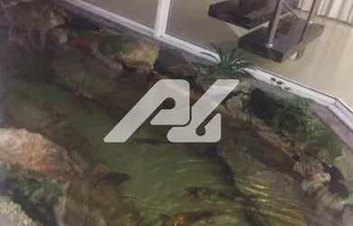 Imagem 7: casa - Swiss Park - Campinas